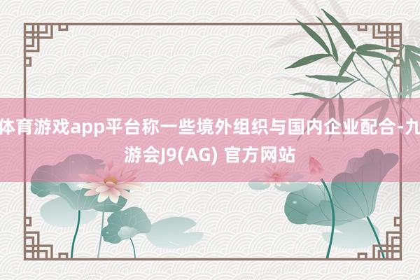 体育游戏app平台称一些境外组织与国内企业配合-九游会J9(AG) 官方网站