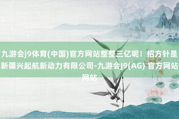 九游会j9体育(中国)官方网站整整三亿呢！招方针是新疆兴起航新动力有限公司-九游会J9(AG) 官方网站