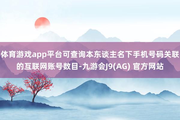 体育游戏app平台可查询本东谈主名下手机号码关联的互联网账号数目-九游会J9(AG) 官方网站