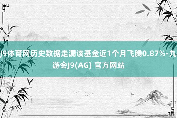 J9体育网历史数据走漏该基金近1个月飞腾0.87%-九游会J9(AG) 官方网站