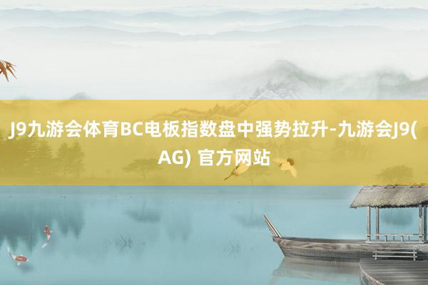 J9九游会体育BC电板指数盘中强势拉升-九游会J9(AG) 官方网站