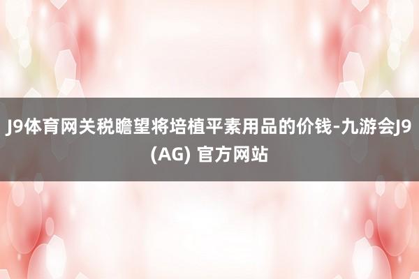 J9体育网关税瞻望将培植平素用品的价钱-九游会J9(AG) 官方网站