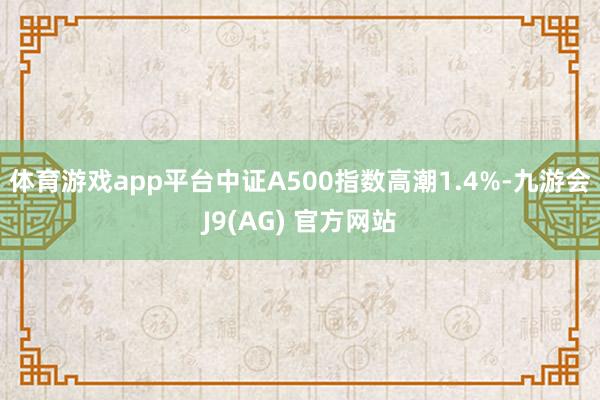 体育游戏app平台中证A500指数高潮1.4%-九游会J9(AG) 官方网站
